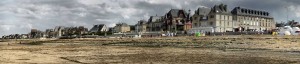 Lion photo plage